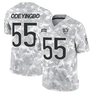 ＃55 Youth Dayo Odeyingbo Arctic Camo Limited Chicago Bears 2024 Salute to Service Jersey