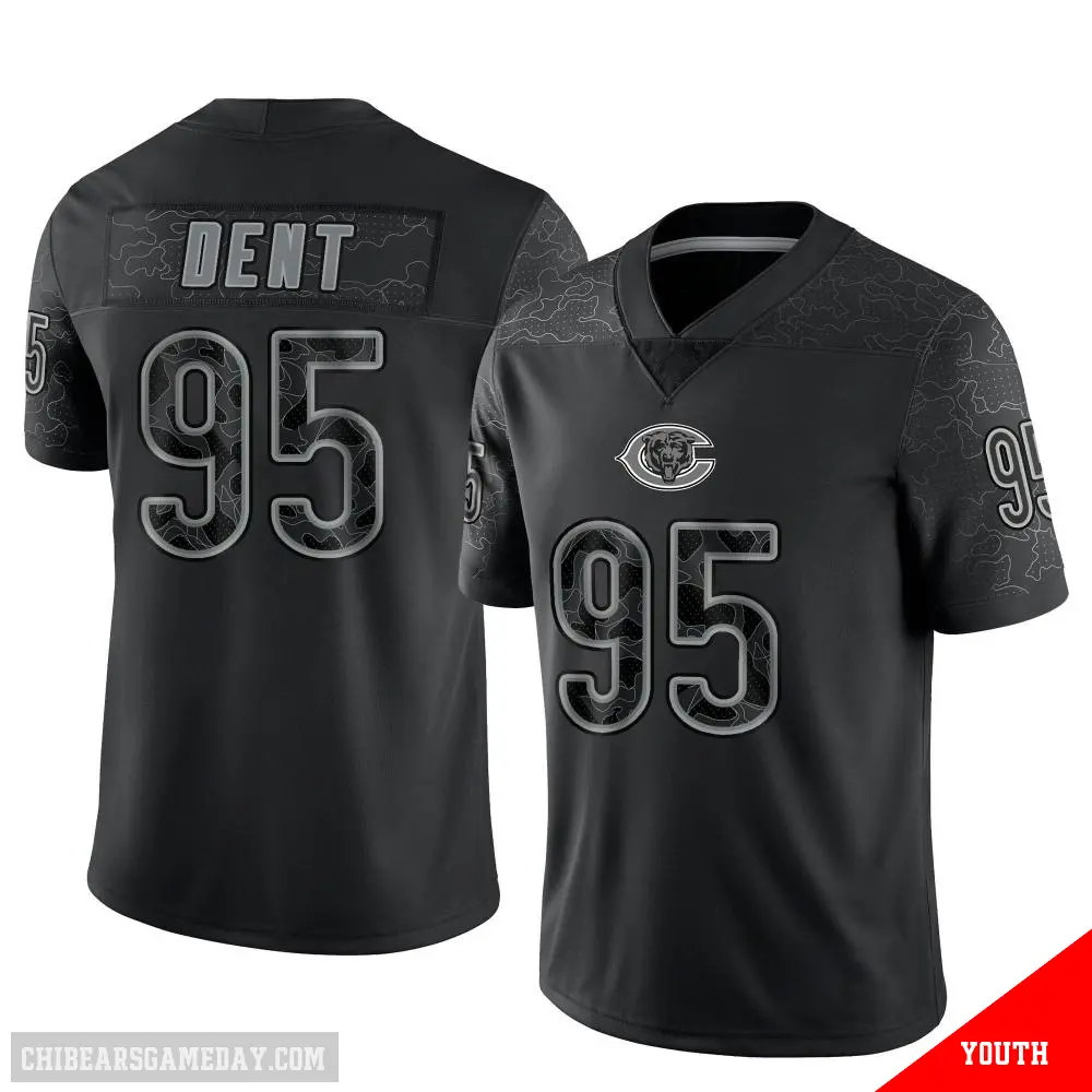 ＃95 Youth Richard Dent Black Limited Chicago Bears Reflective Jersey