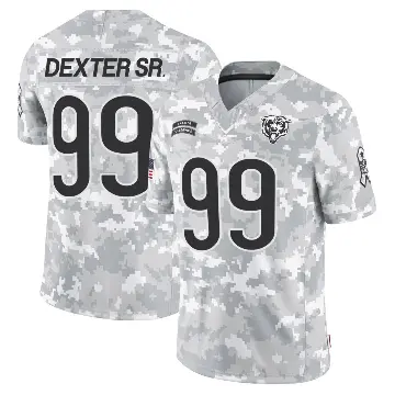 ＃99 Men's Gervon Dexter Sr. Arctic Camo Limited Chicago Bears 2024 Salute to Service Jersey